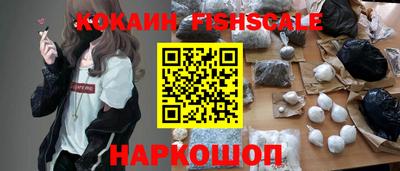 шишки Гай
