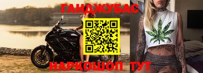 шишки Гай