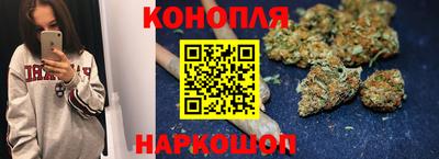 шишки Гай