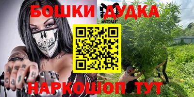 молекула духа Гатчина