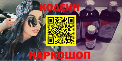 шишки Гай