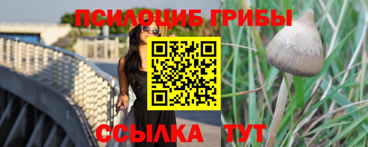 Галлюциногенные грибы Psilocybe  Галлюциногенные грибы Cubensis  Вход с VPN  Курск 