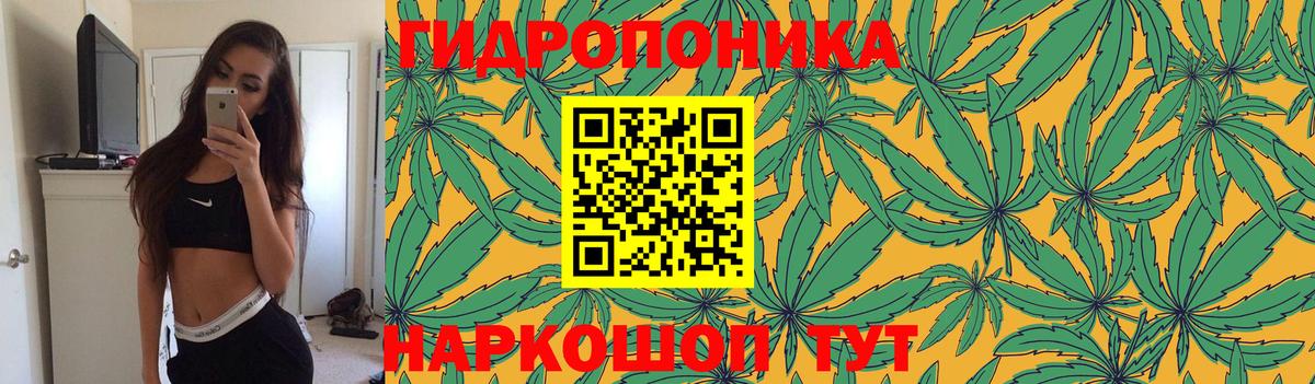 Шишки марихуана AK-47  Вход с VPN  МАРИХУАНА план  Курск 
